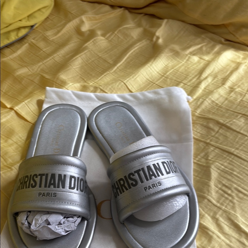 C D Silver Slides nwot - Picture 2 of 3